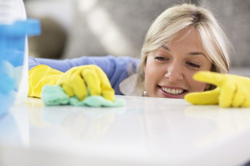 Detailed bathroom cleaning before moving into a SW7 property