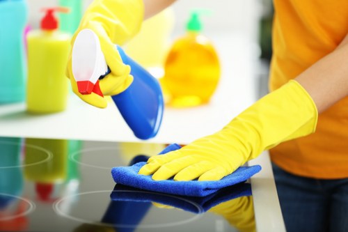 Local cleaning team working in a London apartment building