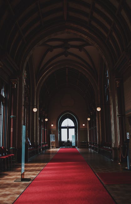 https://carpetcleanerssw7.co.uk/blog/royal-albert-hall-area-rug-cleaning-guide-for-event-spaces/