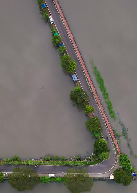 https://carpetcleanerssw7.co.uk/blog/same-day-emergency-carpet-cleaning-sw7-for-flood-damage/